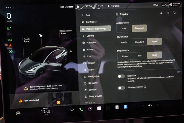 2021 TESLA MODEL 3 - 19
