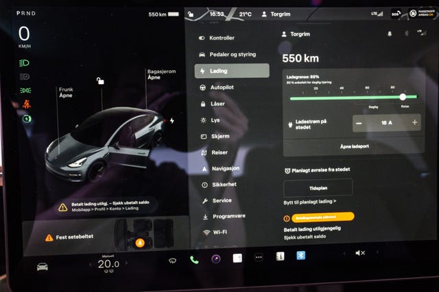 2021 TESLA MODEL 3 - 20