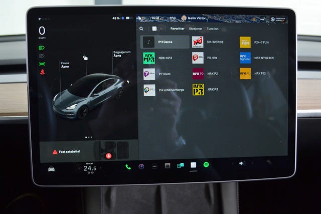 2021 TESLA MODEL 3 - 20