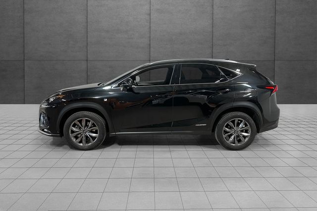 JTJBJRBZ705010563 2020 LEXUS NX 300H-4