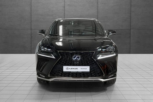 JTJBJRBZ705010563 2020 LEXUS NX 300H-1