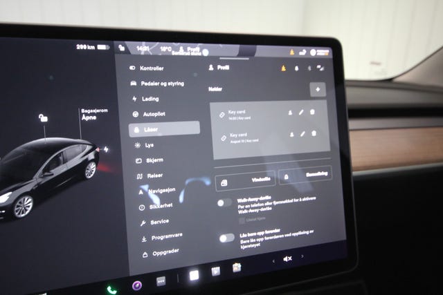 2021 TESLA MODEL 3 - 32