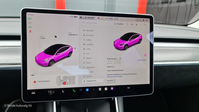 2019 TESLA MODEL 3 - 20