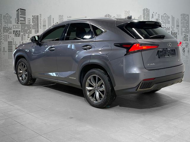 JTJBJRBZ102151016 2021 LEXUS NX 300H-2