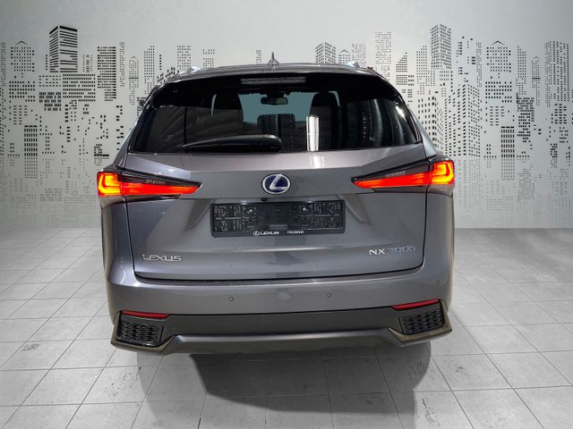 JTJBJRBZ102151016 2021 LEXUS NX 300H-5