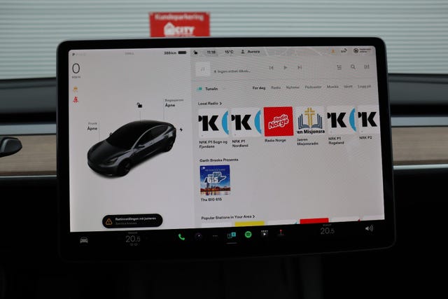 2021 TESLA MODEL 3 - 19