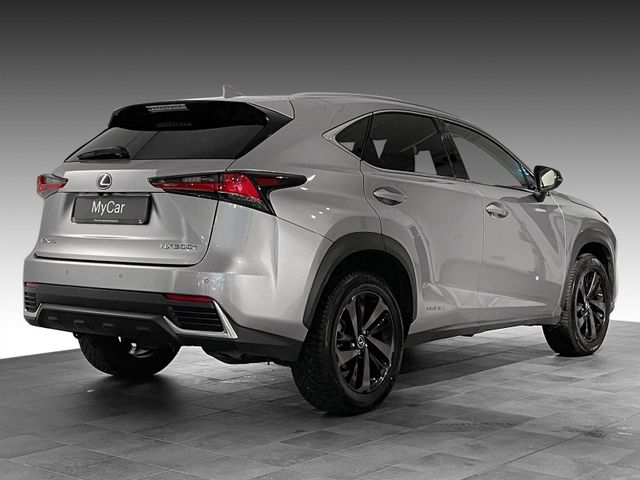 2019 LEXUS NX 300H - 2