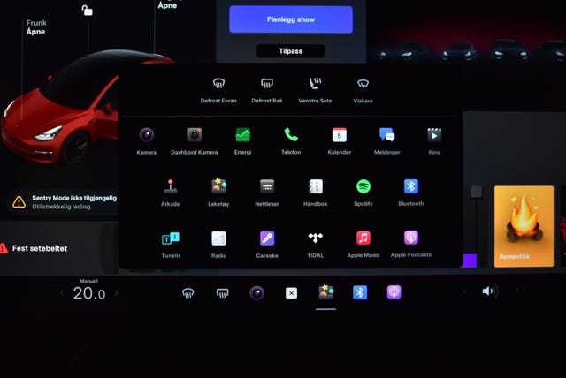 2021 TESLA MODEL 3 - 25