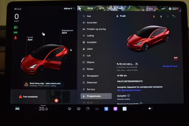 2021 TESLA MODEL 3 - 19