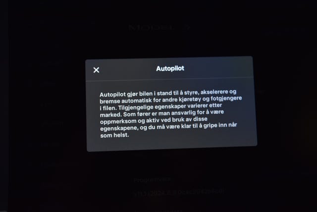 2021 TESLA MODEL 3 - 21