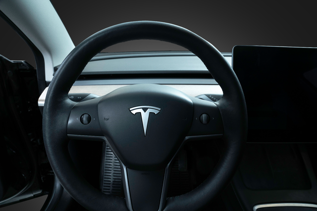 2021 TESLA MODEL 3 - 8