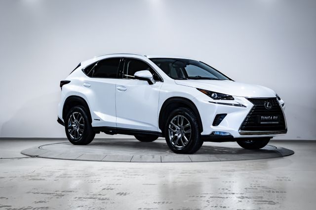 JTJBJRBZ502154856 2021 LEXUS NX 300H-3