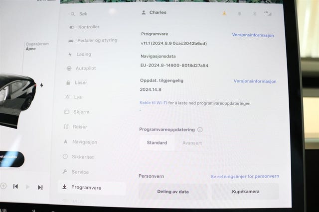 2021 TESLA MODEL 3 - 14