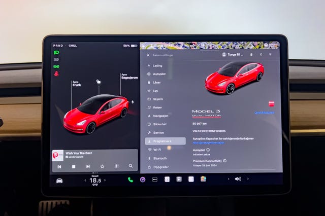 2021 TESLA MODEL 3 - 21