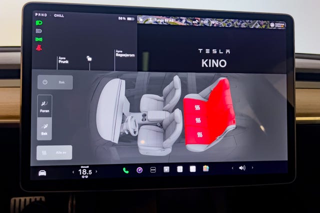 2021 TESLA MODEL 3 - 31