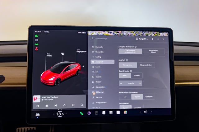 2021 TESLA MODEL 3 - 27