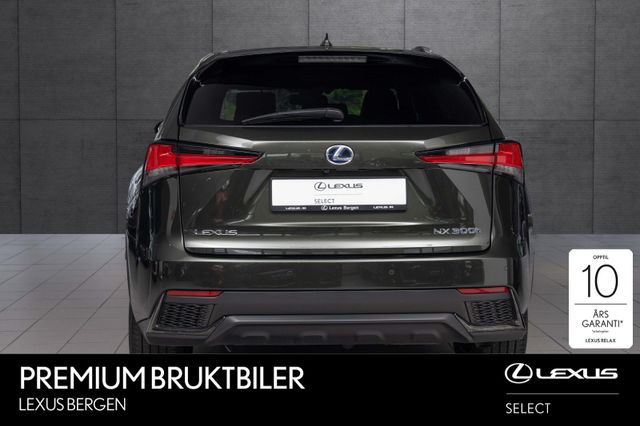 JTJBJRBZ202152899 2021 LEXUS NX 300H-3