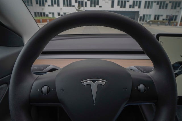 2021 TESLA MODEL 3 - 19