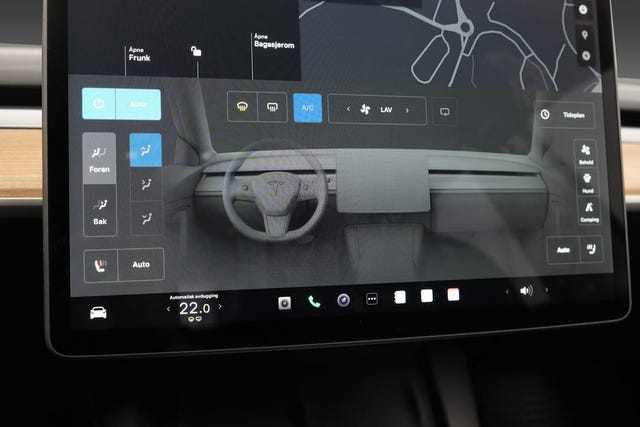 2021 TESLA MODEL 3 - 19