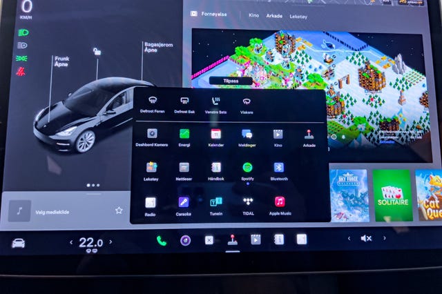 2021 TESLA MODEL 3 - 23
