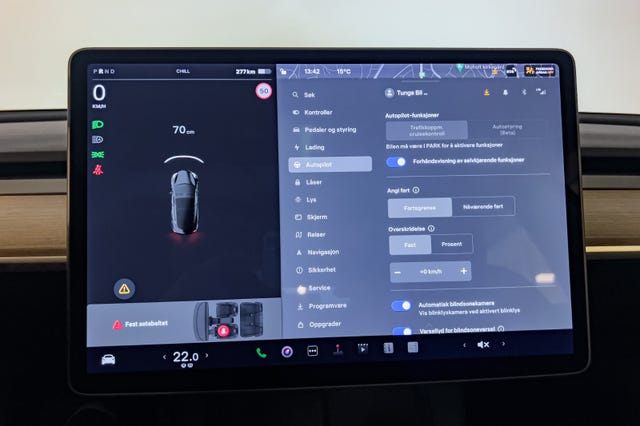 2021 TESLA MODEL 3 - 25