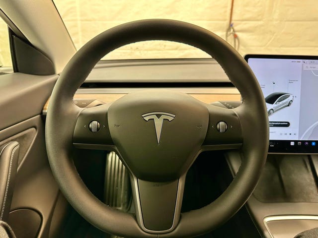 2021 TESLA MODEL 3 - 19