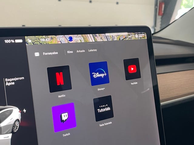 2021 TESLA MODEL 3 - 22