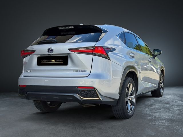 2019 LEXUS NX 300H - 8