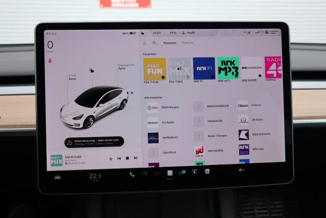 2021 TESLA MODEL 3 - 16
