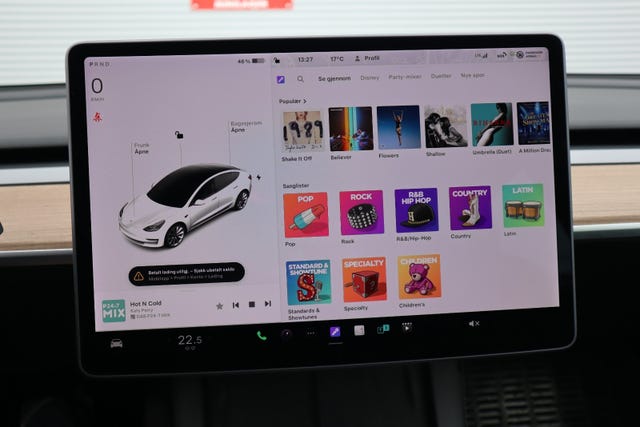 2021 TESLA MODEL 3 - 17