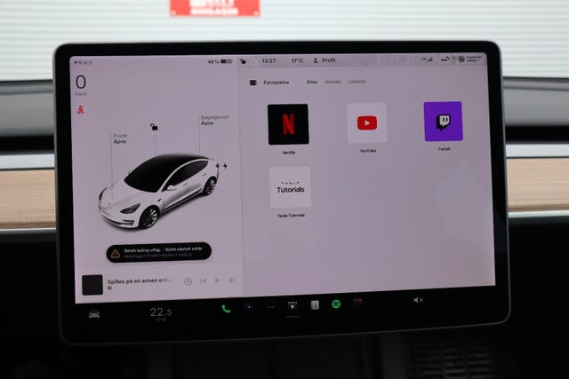 2021 TESLA MODEL 3 - 14