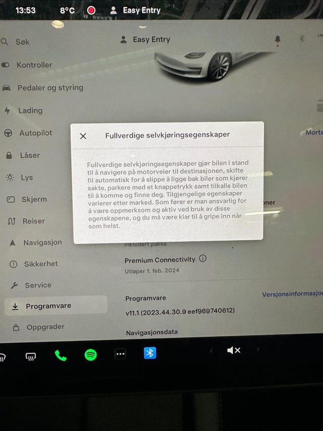 2021 TESLA MODEL 3 - 18