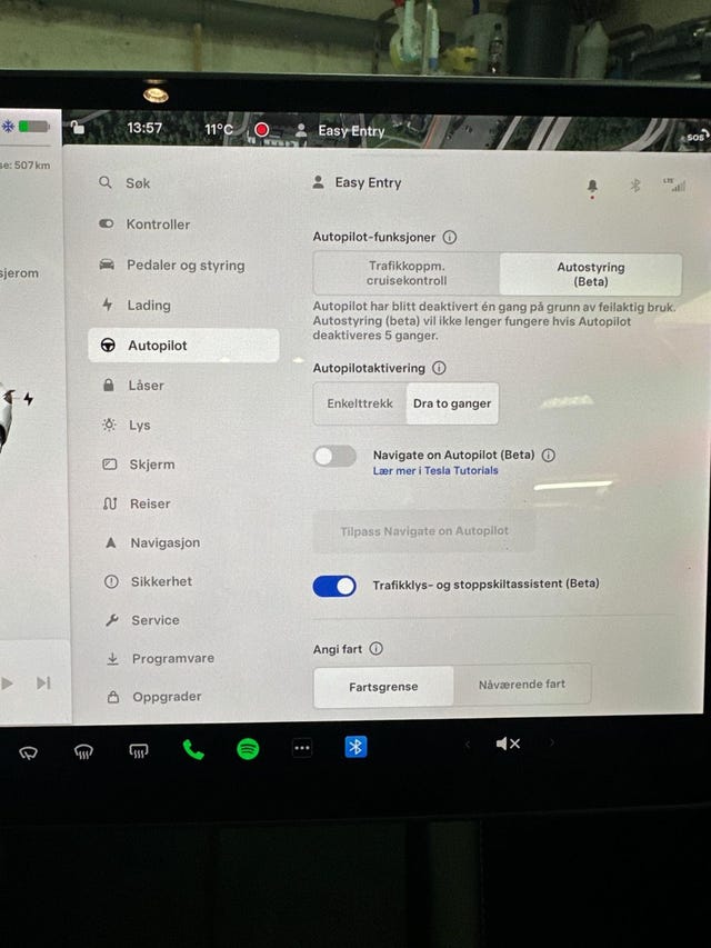 2021 TESLA MODEL 3 - 14