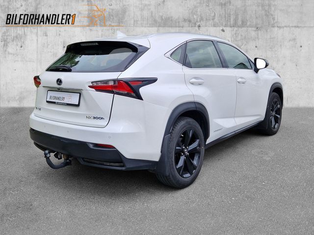 JTJBJRBZ202065343 2017 LEXUS NX 300H-4