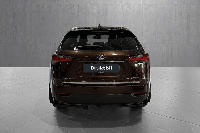 JTJBJRBZ102043737 2016 LEXUS NX 300H-4