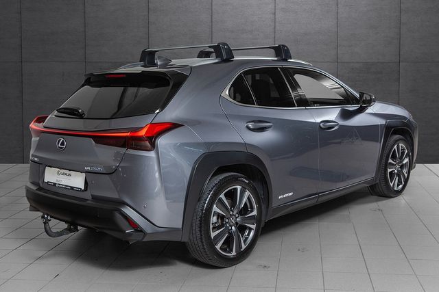 JTHU95BH702012382 2019 LEXUS UX-4