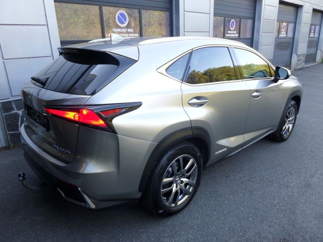 2018 LEXUS NX 300H - 17