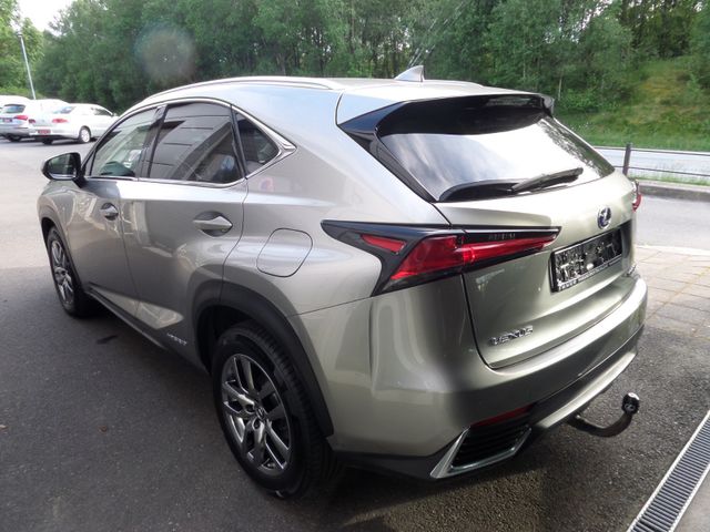 2018 LEXUS NX 300H - 9