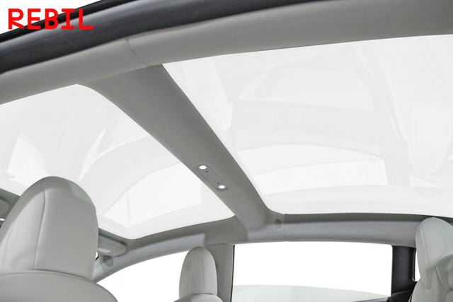 2019 TESLA MODEL 3 - 12