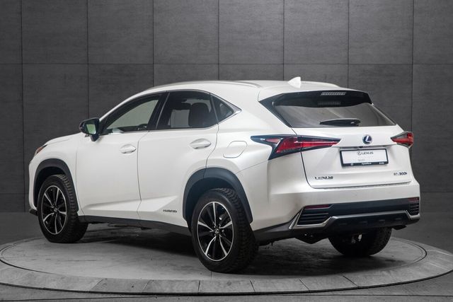 JTJBJRBZ805012287 2020 LEXUS NX 300H-3