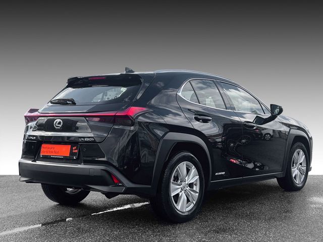 JTHY65BH402013158 2019 LEXUS UX-1