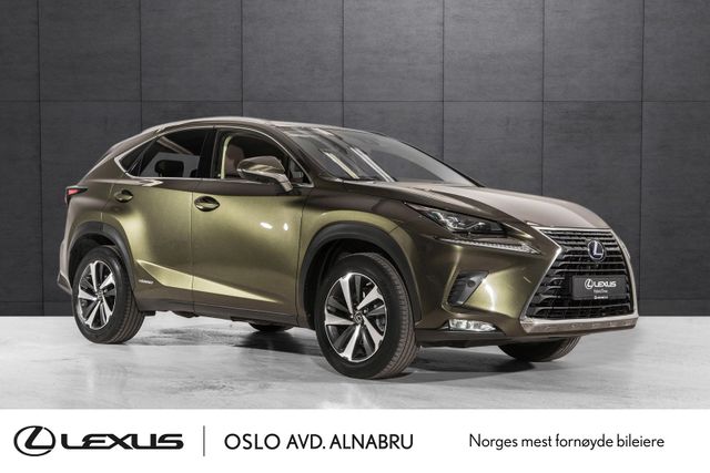 JTJBJRBZ602156518 2021 LEXUS NX 300H-4