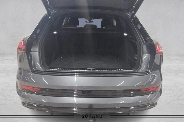 2021 AUDI E-TRON - 18