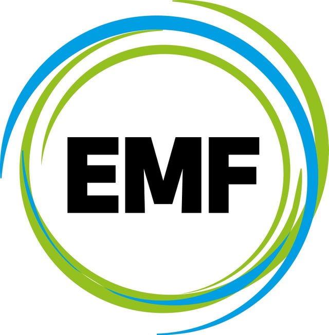 EUROPEAN MARITIME FINANCE A/S NUF logo