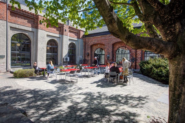 Stor grønn bakgård