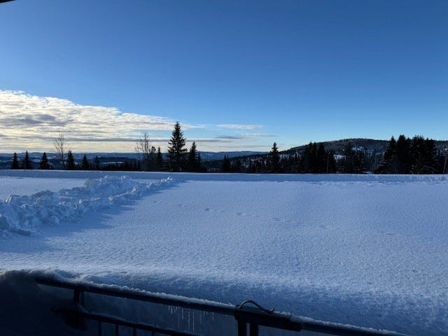 Utsikten fra terrassen Galleribilde