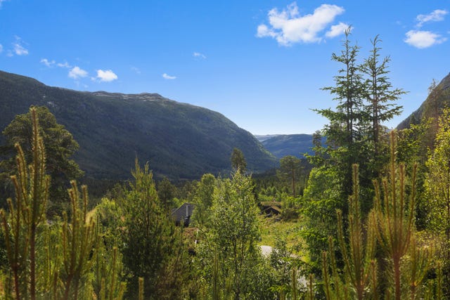 Fint utsikt til fjellområdene omkring