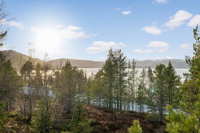 Eiendommen ligger på øvre side av E6 ved Forneset i Hemnes kommune.