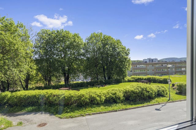 Utsikt mot hyggelige grønntrområder fra kjøkkenvindu