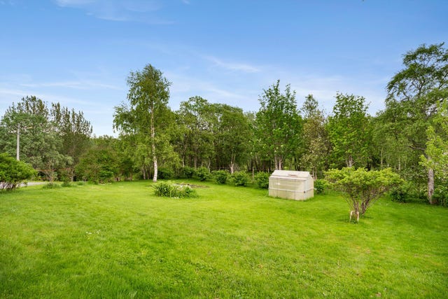 Romslig eiet tomt på 1 350 m2 som er rikelig opparbeidet og beplantet med blant annet gressplen, rips, solbær, nype og kirsebær.